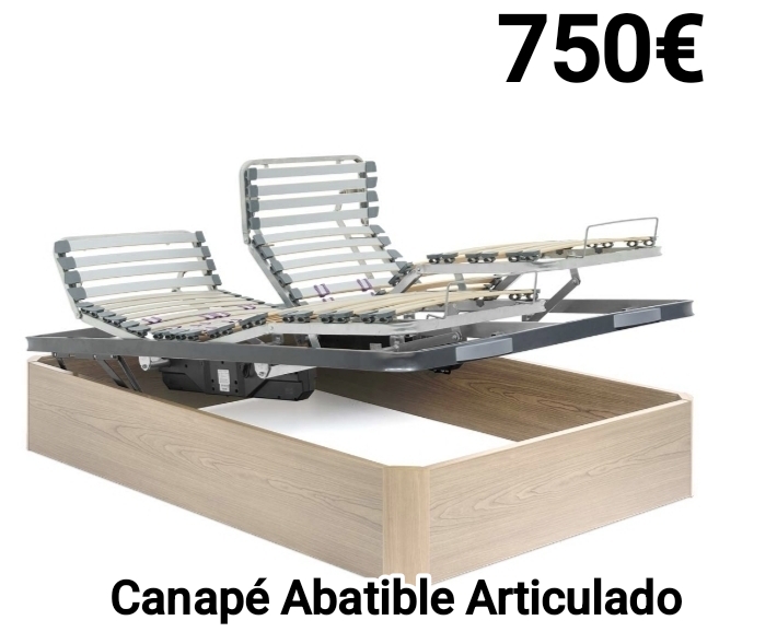 Cama articulada